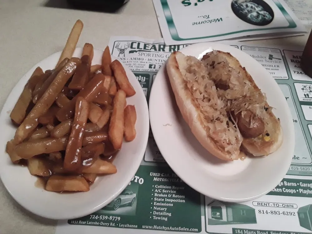 Hot Dog with Kraut and Gravy Fries